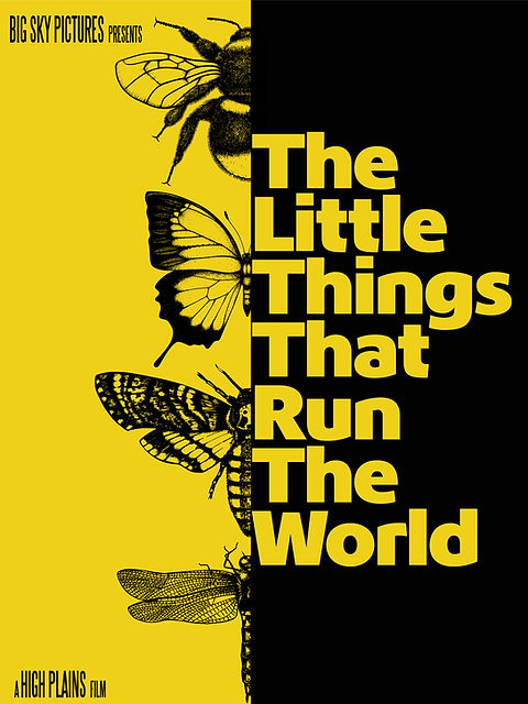 The Little Things That Run the World – High Plains Films Blu-ray