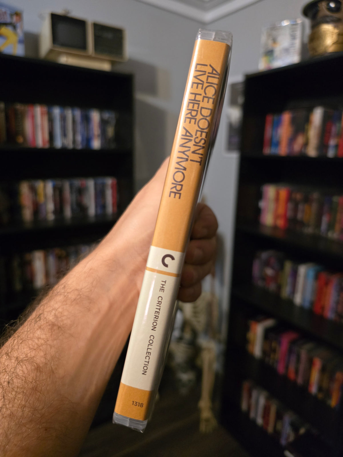 Alice Doesn't Live Here Anymore - Criterion #1318 4K UHD + Blu-ray