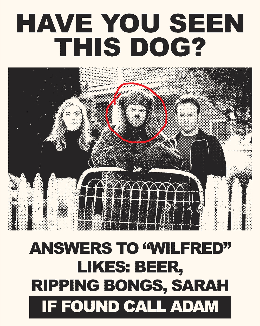 Wilfred: The Complete Series 1 & 2 – Umbrella Entertainment Blu-ray