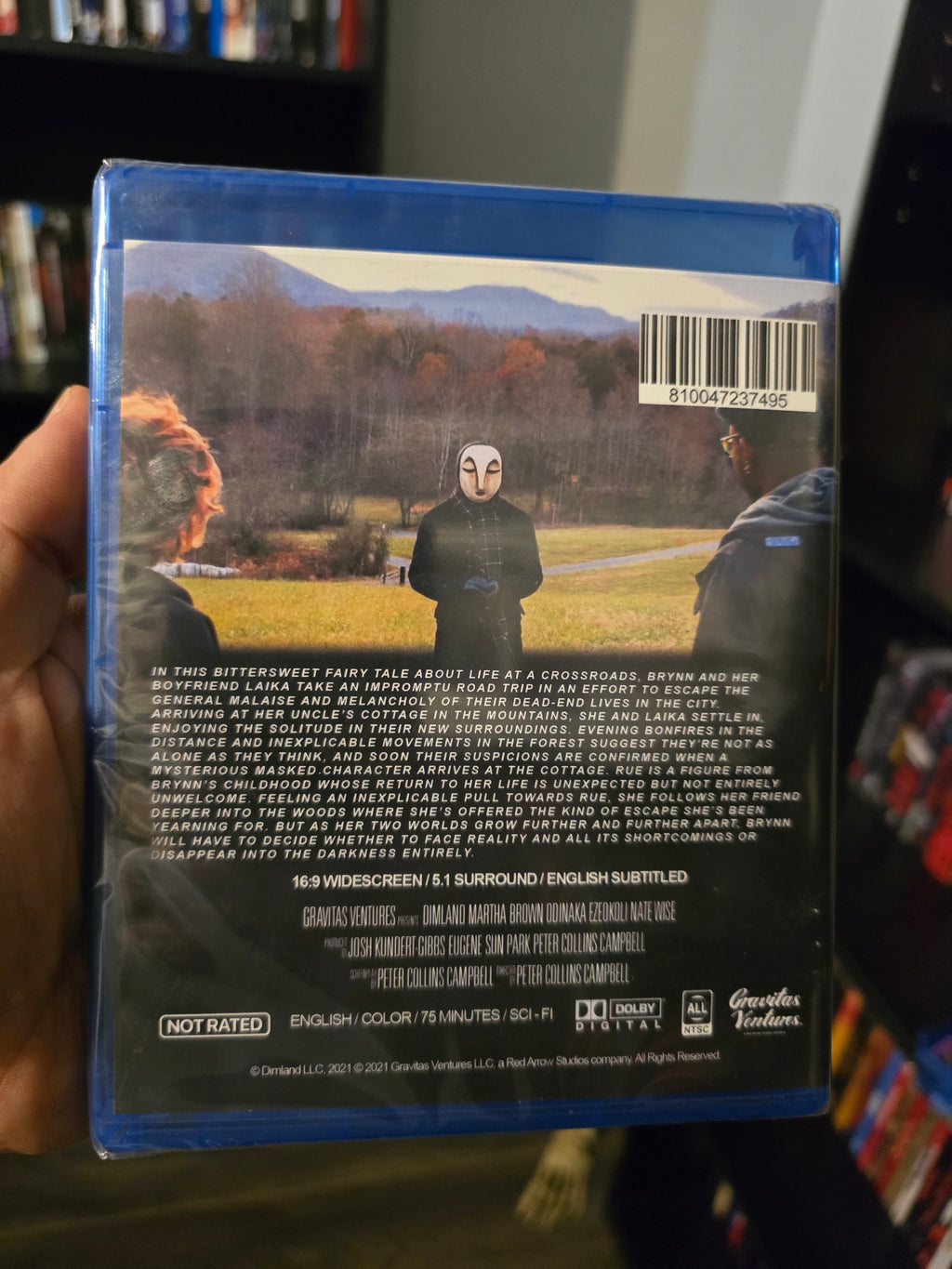 DimLand (Gravitas Ventures) (Blu-ray)