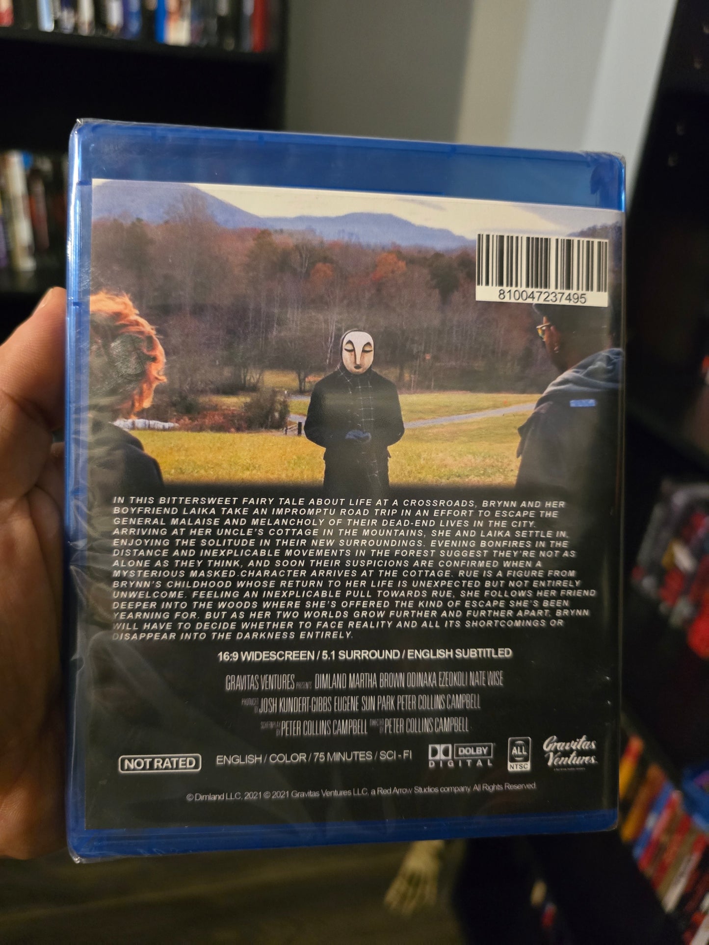 DimLand (Gravitas Ventures) (Blu-ray)