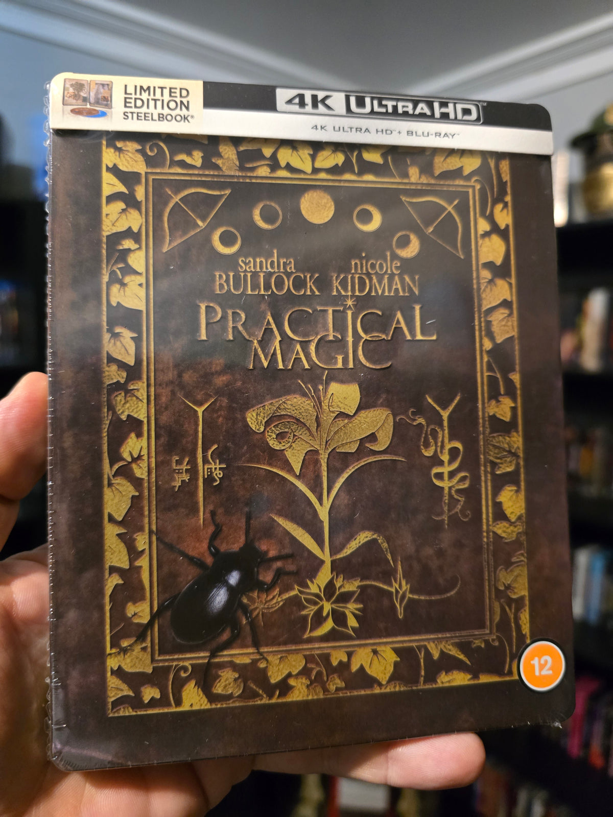 PRACTICAL MAGIC [LIMITED EDITION STEELBOOK] (WARNER BROTHERS) (4K UHD+BLU-RAY REGION B) (UK IMPORT)