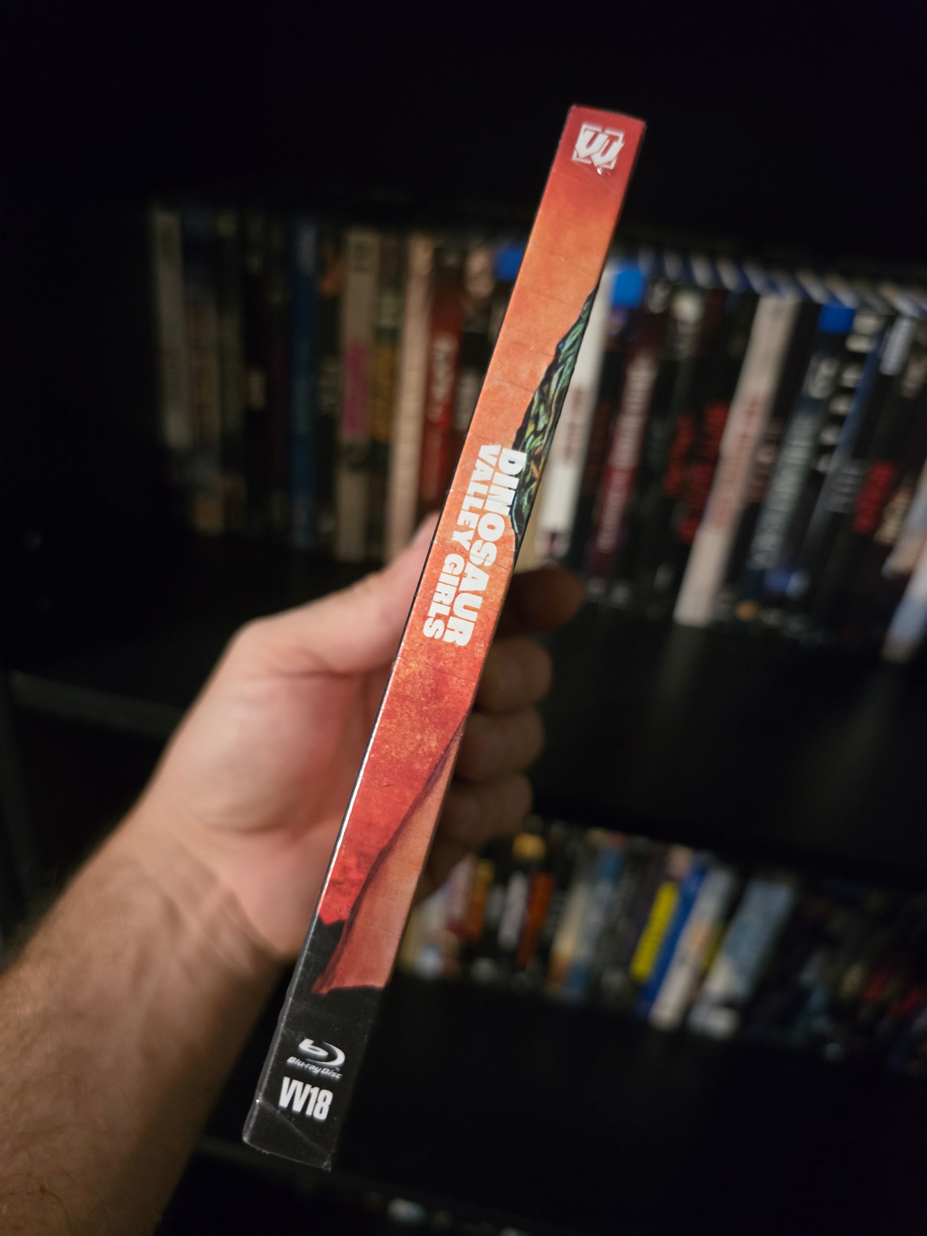 Dinosaur Valley Girls [Collector's Edition] (Visual Vengeance) (Blu-ray w/Slipcover)