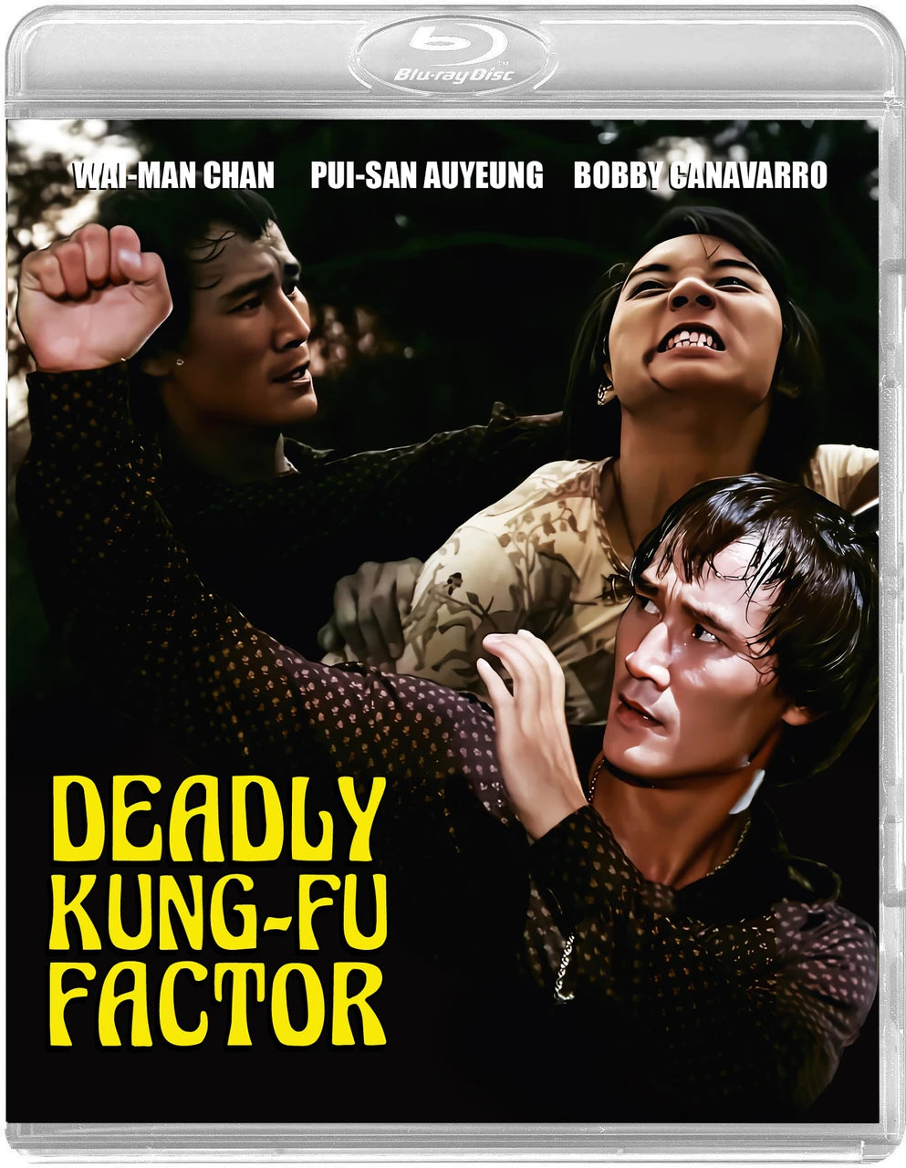 DEADLY KUNG-FU FACTOR (DARK FORCE ENTERTAINMENT) (BLU-RAY)